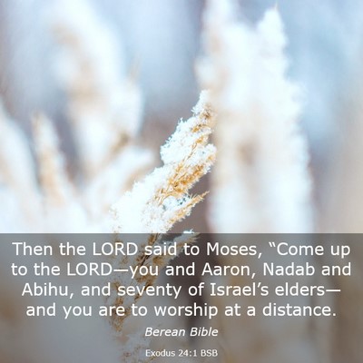 Picture 03 - Exodus 24:1 BSB - Then the LORD said to Moses, “Come up to the - Bible Verse Picture