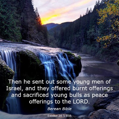 Picture 03 - Exodus 24:5 BSB - Then he sent out some young men of Israel, and - Bible Verse Picture