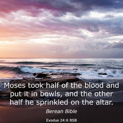 Picture 03 - Exodus 24:6 BSB - Moses took half of the blood and put it in bowls, - Bible Verse Picture