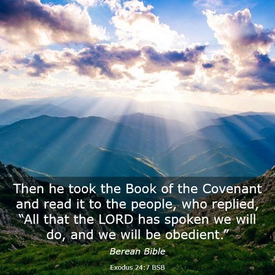 Picture 03 - Exodus 24:7 BSB - Then he took the Book of the Covenant and read it - Bible Verse Picture