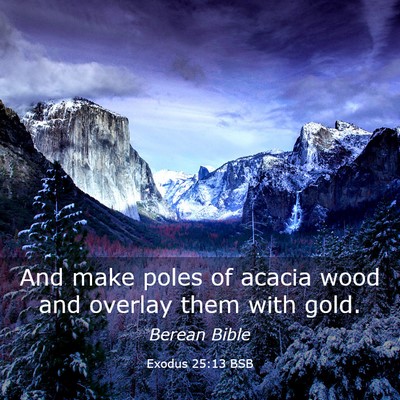 Picture 03 - Exodus 25:13 BSB - And make poles of acacia wood and overlay them - Bible Verse Picture