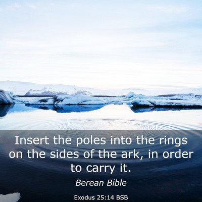 Picture 03 - Exodus 25:14 BSB - Insert the poles into the rings on the sides of - Bible Verse Picture