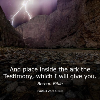 Picture 03 - Exodus 25:16 BSB - And place inside the ark the Testimony, which I - Bible Verse Picture