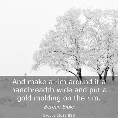 Picture 03 - Exodus 25:25 BSB - And make a rim around it a handbreadth wide and - Bible Verse Picture