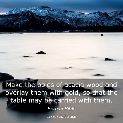 Picture 03 - Exodus 25:28 BSB - Make the poles of acacia wood and overlay them - Bible Verse Picture