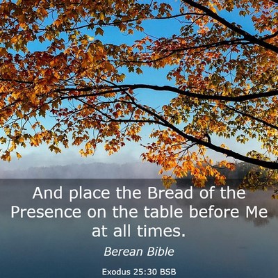 Picture 03 - Exodus 25:30 BSB - And place the Bread of the Presence on the table - Bible Verse Picture