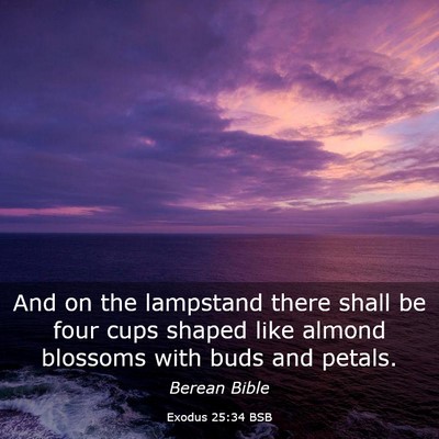 Picture 03 - Exodus 25:34 BSB - And on the lampstand there shall be four cups - Bible Verse Picture