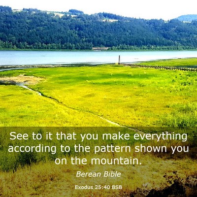 Picture 03 - Exodus 25:40 BSB - See to it that you make everything according to - Bible Verse Picture
