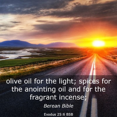 Picture 03 - Exodus 25:6 BSB - olive oil for the light; spices for the anointing - Bible Verse Picture