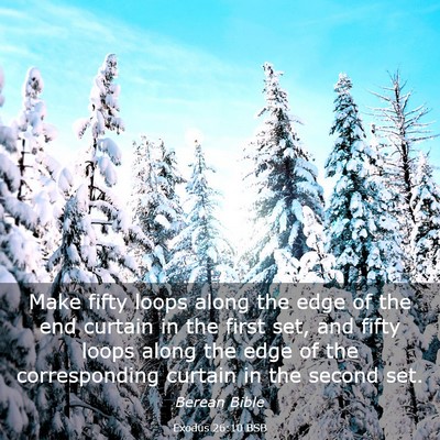 Picture 03 - Exodus 26:10 BSB - Make fifty loops along the edge of the end - Bible Verse Picture