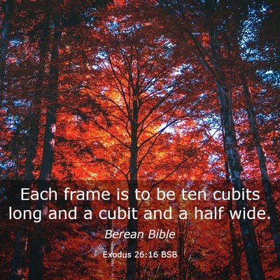 Picture 03 - Exodus 26:16 BSB - Each frame is to be ten cubits long and a cubit - Bible Verse Picture