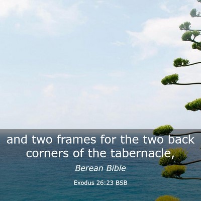 Picture 03 - Exodus 26:23 BSB - and two frames for the two back corners of the - Bible Verse Picture