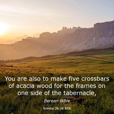 Picture 03 - Exodus 26:26 BSB - You are also to make five crossbars of acacia - Bible Verse Picture