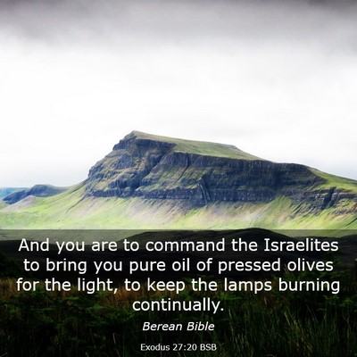 Picture 03 - Exodus 27:20 BSB - And you are to command the Israelites to bring - Bible Verse Picture