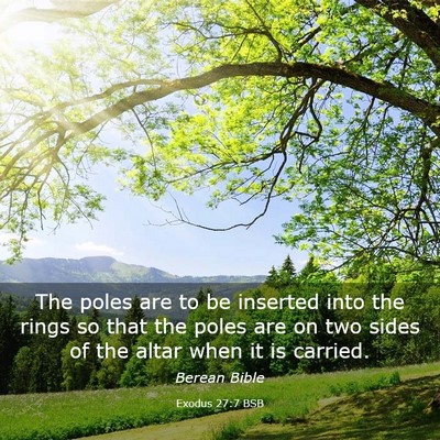 Picture 03 - Exodus 27:7 BSB - The poles are to be inserted into the rings so - Bible Verse Picture