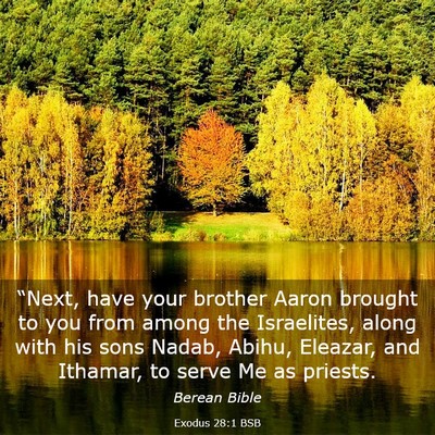 Picture 03 - Exodus 28:1 BSB - “Next, have your brother Aaron brought to you - Bible Verse Picture