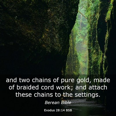 Picture 03 - Exodus 28:14 BSB - and two chains of pure gold, made of braided cord - Bible Verse Picture