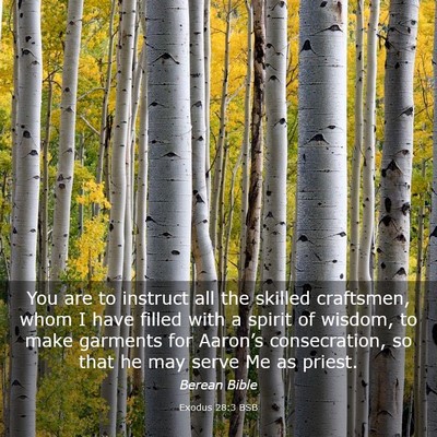 Picture 03 - Exodus 28:3 BSB - You are to instruct all the skilled craftsmen, - Bible Verse Picture