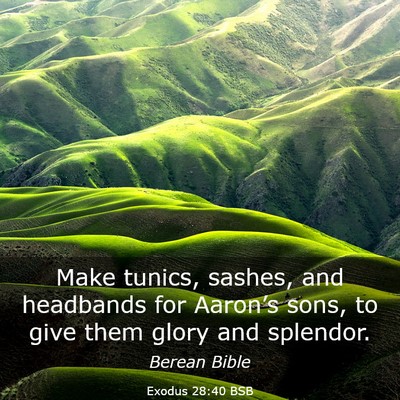 Picture 03 - Exodus 28:40 BSB - Make tunics, sashes, and headbands for Aaron’s - Bible Verse Picture