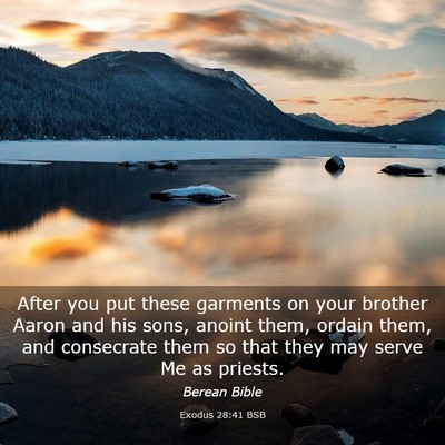 Picture 03 - Exodus 28:41 BSB - After you put these garments on your brother - Bible Verse Picture