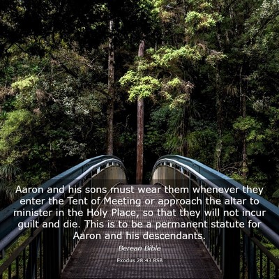 Picture 03 - Exodus 28:43 BSB - Aaron and his sons must wear them whenever they - Bible Verse Picture