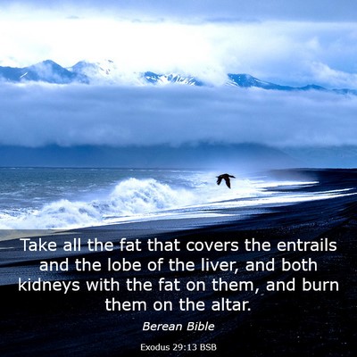 Picture 03 - Exodus 29:13 BSB - Take all the fat that covers the entrails and the - Bible Verse Picture