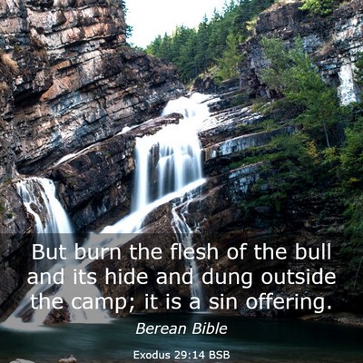 Picture 03 - Exodus 29:14 BSB - But burn the flesh of the bull and its hide and - Bible Verse Picture