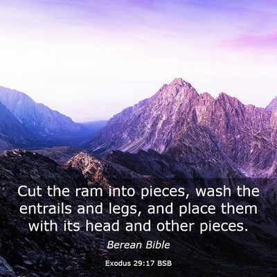 Picture 03 - Exodus 29:17 BSB - Cut the ram into pieces, wash the entrails and - Bible Verse Picture
