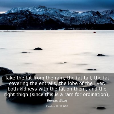Picture 03 - Exodus 29:22 BSB - Take the fat from the ram, the fat tail, the fat - Bible Verse Picture