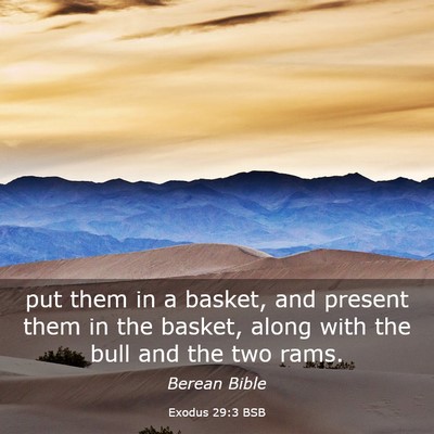 Picture 03 - Exodus 29:3 BSB - put them in a basket, and present them in the - Bible Verse Picture