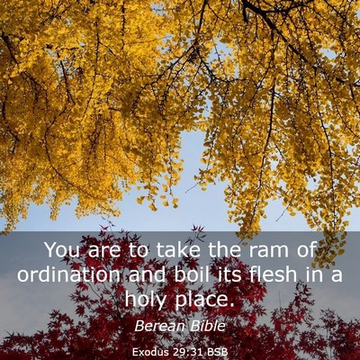 Picture 03 - Exodus 29:31 BSB - You are to take the ram of ordination and boil - Bible Verse Picture