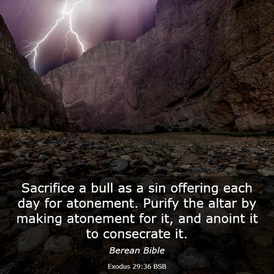 Picture 03 - Exodus 29:36 BSB - Sacrifice a bull as a sin offering each day for - Bible Verse Picture