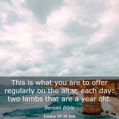 Picture 03 - Exodus 29:38 BSB - This is what you are to offer regularly on the - Bible Verse Picture