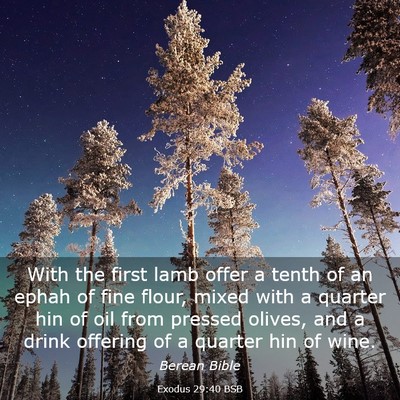 Picture 03 - Exodus 29:40 BSB - With the first lamb offer a tenth of an ephah of - Bible Verse Picture