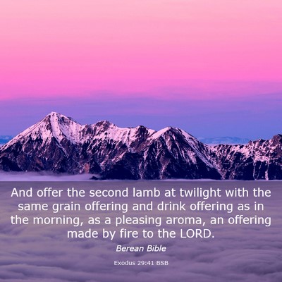 Picture 03 - Exodus 29:41 BSB - And offer the second lamb at twilight with the - Bible Verse Picture