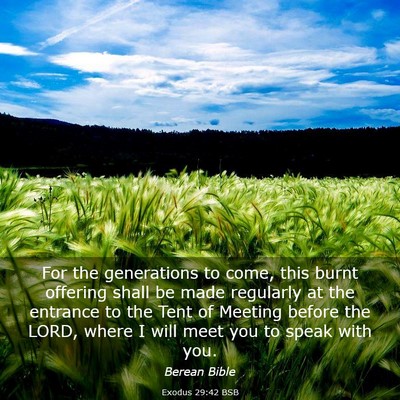 Picture 03 - Exodus 29:42 BSB - For the generations to come, this burnt offering - Bible Verse Picture