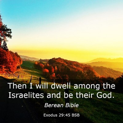 Picture 03 - Exodus 29:45 BSB - Then I will dwell among the Israelites and be - Bible Verse Picture