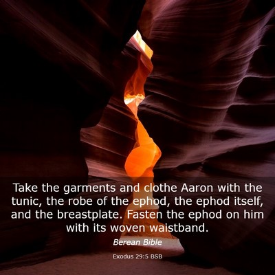 Picture 03 - Exodus 29:5 BSB - Take the garments and clothe Aaron with the - Bible Verse Picture