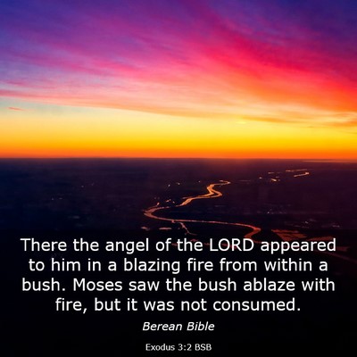 Picture 03 - Exodus 3:2 BSB - There the angel of the LORD appeared to him in a - Bible Verse Picture