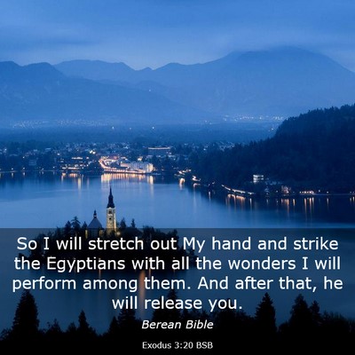 Picture 03 - Exodus 3:20 BSB - So I will stretch out My hand and strike the - Bible Verse Picture