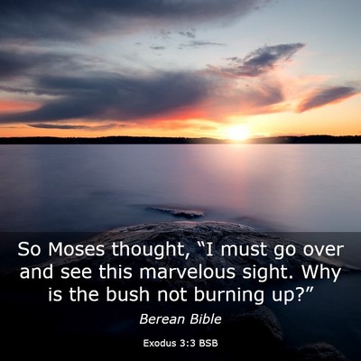 Picture 03 - Exodus 3:3 BSB - So Moses thought, “I must go over and see this - Bible Verse Picture