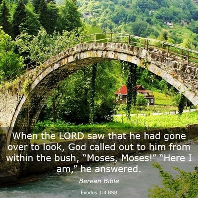 Picture 03 - Exodus 3:4 BSB - When the LORD saw that he had gone over to look, - Bible Verse Picture