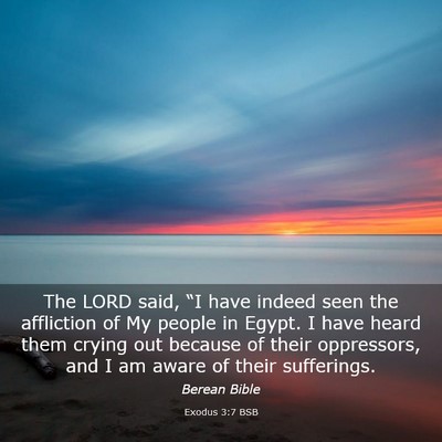 Picture 03 - Exodus 3:7 BSB - The LORD said, “I have indeed seen the - Bible Verse Picture
