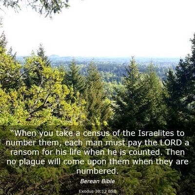 Picture 03 - Exodus 30:12 BSB - “When you take a census of the Israelites to - Bible Verse Picture