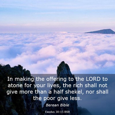 Picture 03 - Exodus 30:15 BSB - In making the offering to the LORD to atone for - Bible Verse Picture