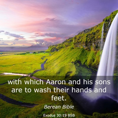 Picture 03 - Exodus 30:19 BSB - with which Aaron and his sons are to wash their - Bible Verse Picture