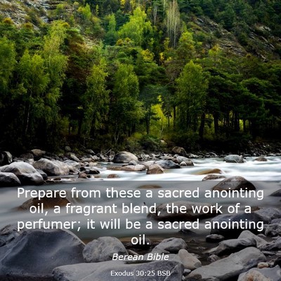 Picture 03 - Exodus 30:25 BSB - Prepare from these a sacred anointing oil, a - Bible Verse Picture