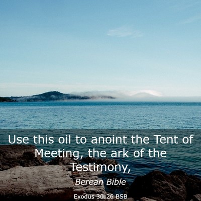 Picture 03 - Exodus 30:26 BSB - Use this oil to anoint the Tent of Meeting, the - Bible Verse Picture