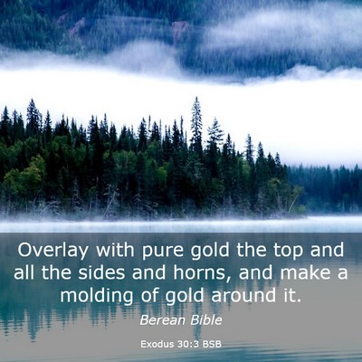 Picture 03 - Exodus 30:3 BSB - Overlay with pure gold the top and all the sides - Bible Verse Picture
