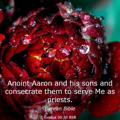 Picture 03 - Exodus 30:30 BSB - Anoint Aaron and his sons and consecrate them to - Bible Verse Picture